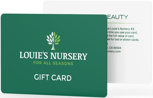 louies-nursery-giftcard copy